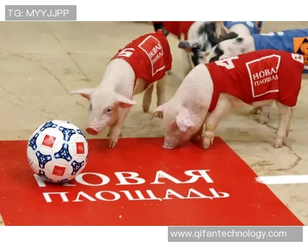 动物界足球之王究竟是谁揭开最强动物足球明星的神秘面纱